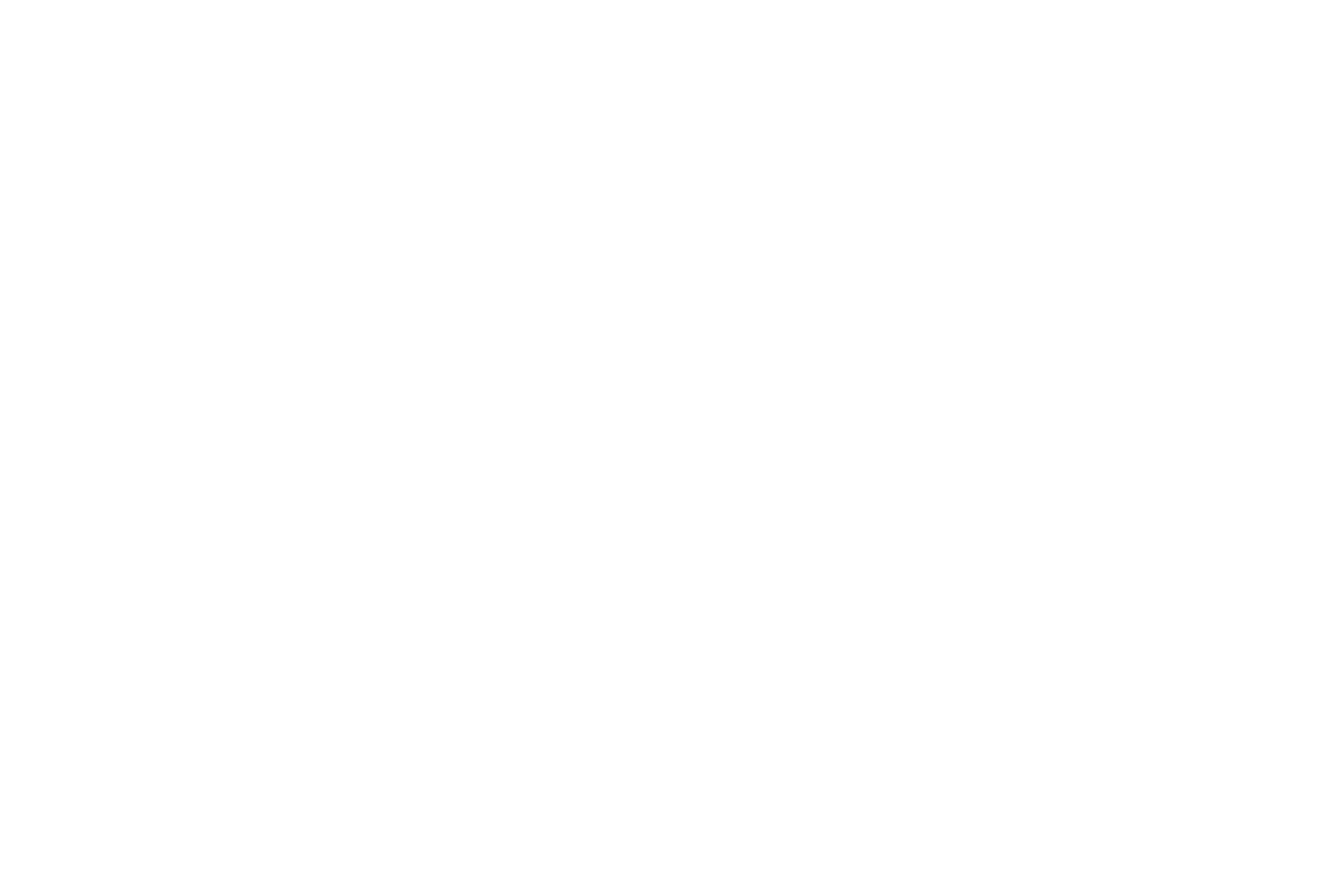 logo medlangfanatic